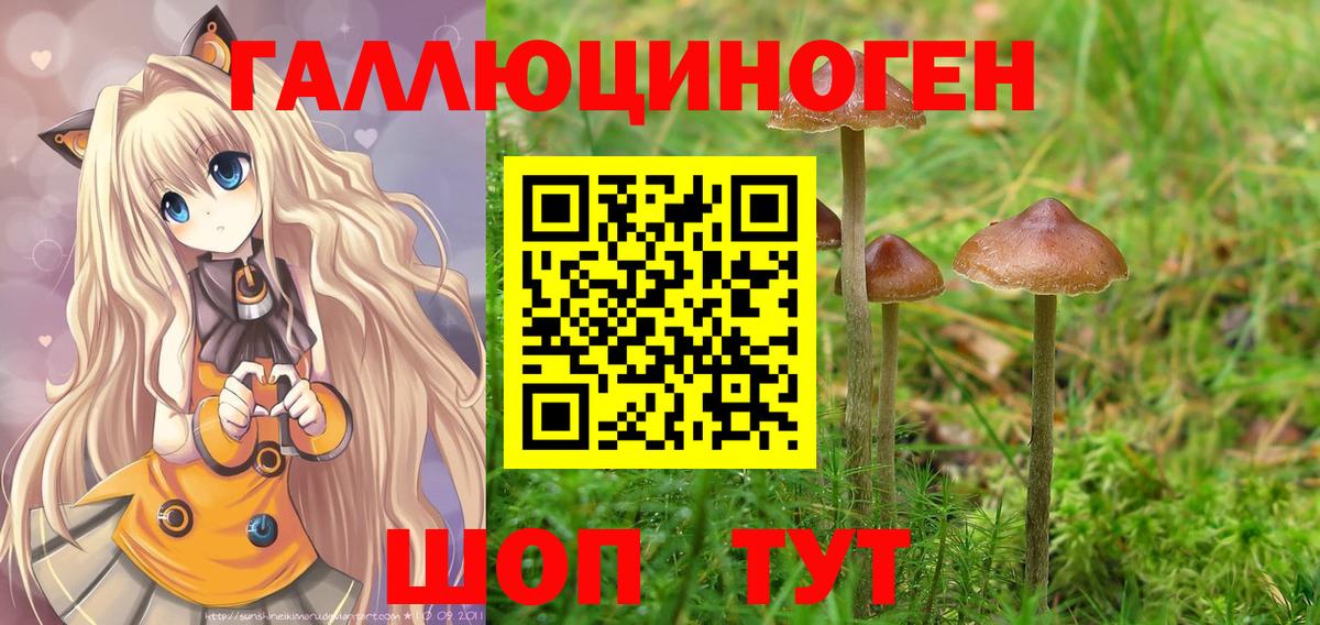 Псилоцибиновые грибы Psilocybine cubensis Каменка