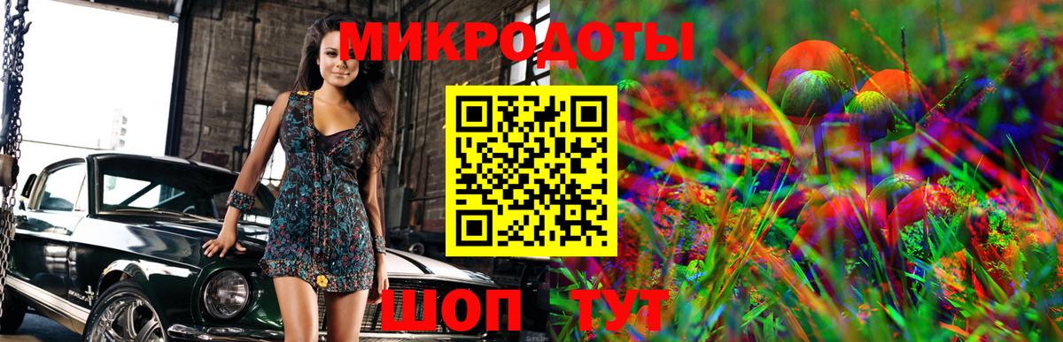 Каменка  хочу   Вход с VPN  Галлюциногенные грибы Psilocybine cubensis 